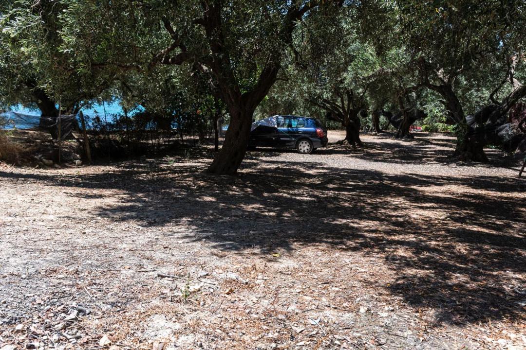 Olive Tree Villa Lygia  Eksteriør billede