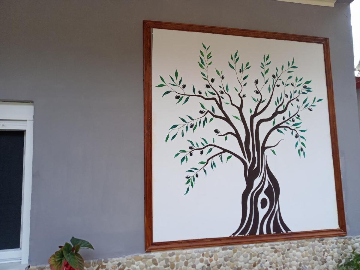 Olive Tree Villa Lygia  Eksteriør billede